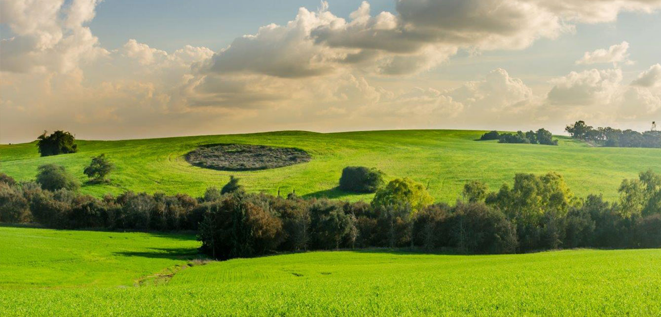 nagvi-1340x642
