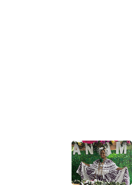 panama--imgi_60_home12-il-2-3